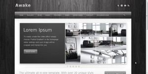 Wordpress sablon