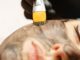 Forradalmi carbon peeling kezelés az Apollon Beauty kozmetikában